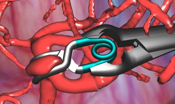 Virtual Aneurysm: Simulation, Training and Assessment of Neurosurgical Interventions